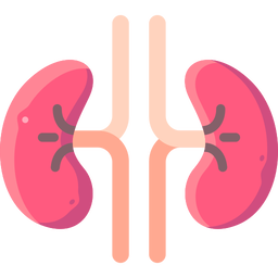 Renal Function Test 