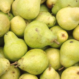 Pears (Peasi)