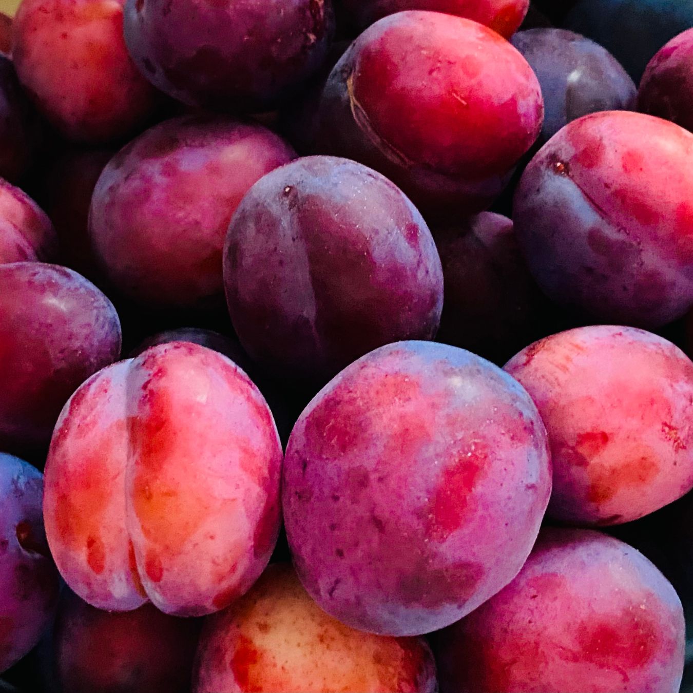 Plum (Matunda Damu)_0