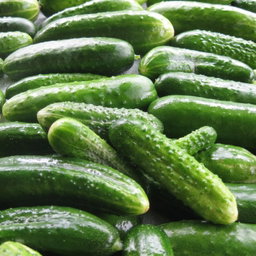 Pickled Cucumber (Tango Pori)