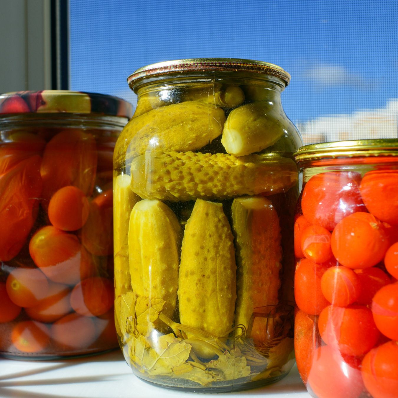 Pickled Cucumber (Tango Pori)_3