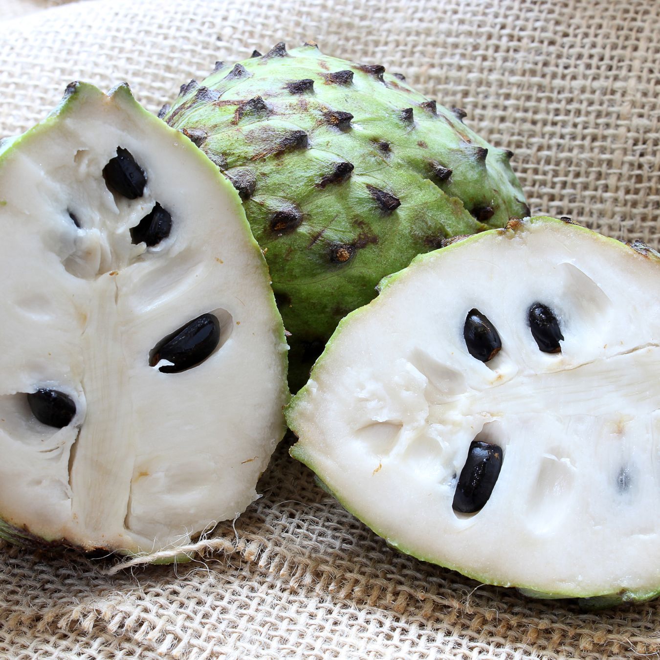 Soursop  (Stafeli)_0