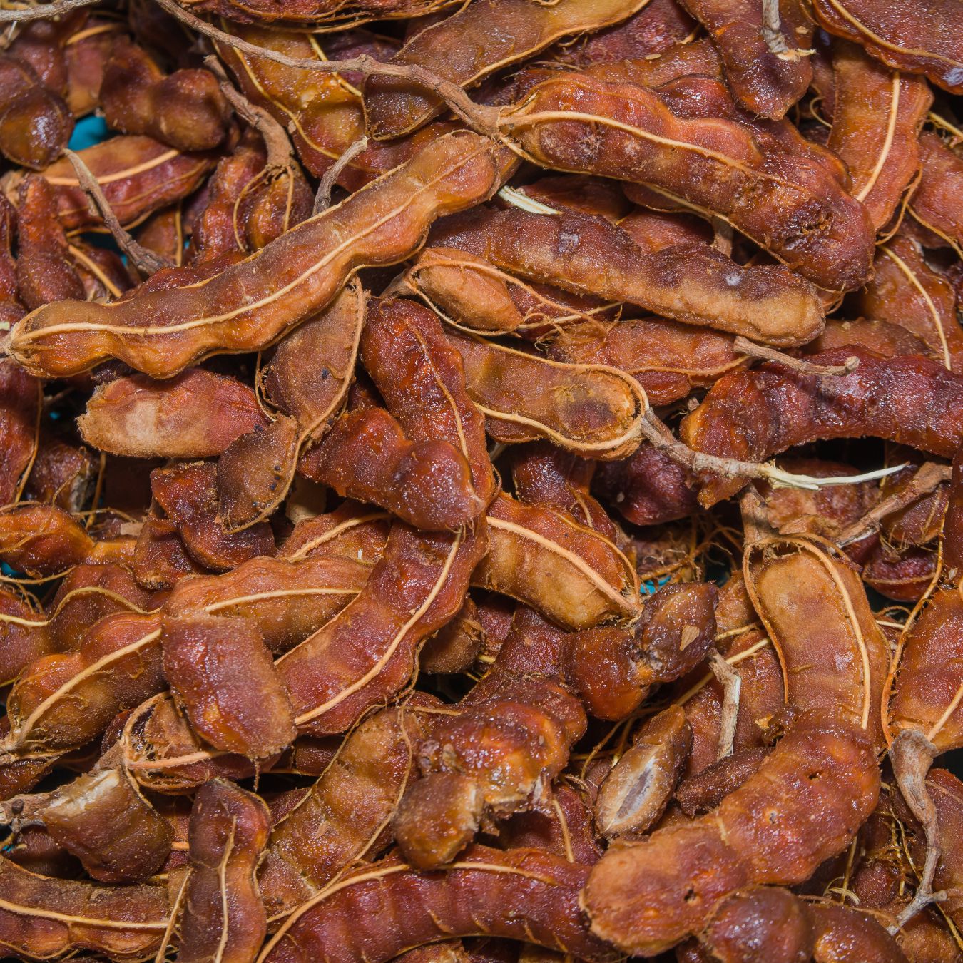 Tamarind (Ukwaju)_0