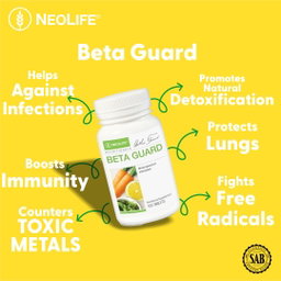 Detoxification Supplements 