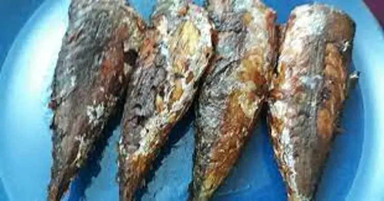Fried Titus Fish