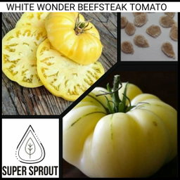 🍅WHITE WONDER/GREAT WHITE BEEFSTEAK TOMATO🍅 x 10 seeds
