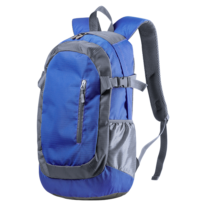Densul Backpack_0