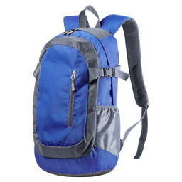 Densul Backpack