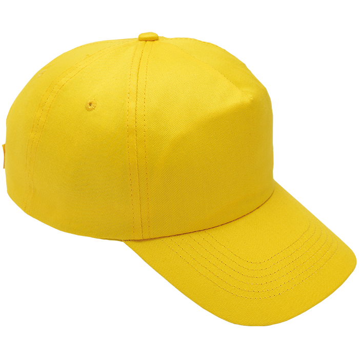 5 Panel Cotton with Hard Front Cap_1