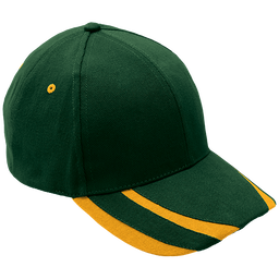 6 Panel Supporter Cap