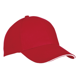 6 Panel Sandwich Peak Cap