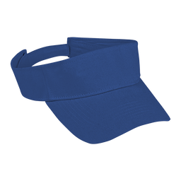 Arena Visor