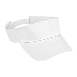 Arena Visor