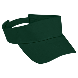 Arena Visor