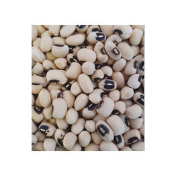 NATURES BLACK EYE BEANS (KARAMANI) 500G