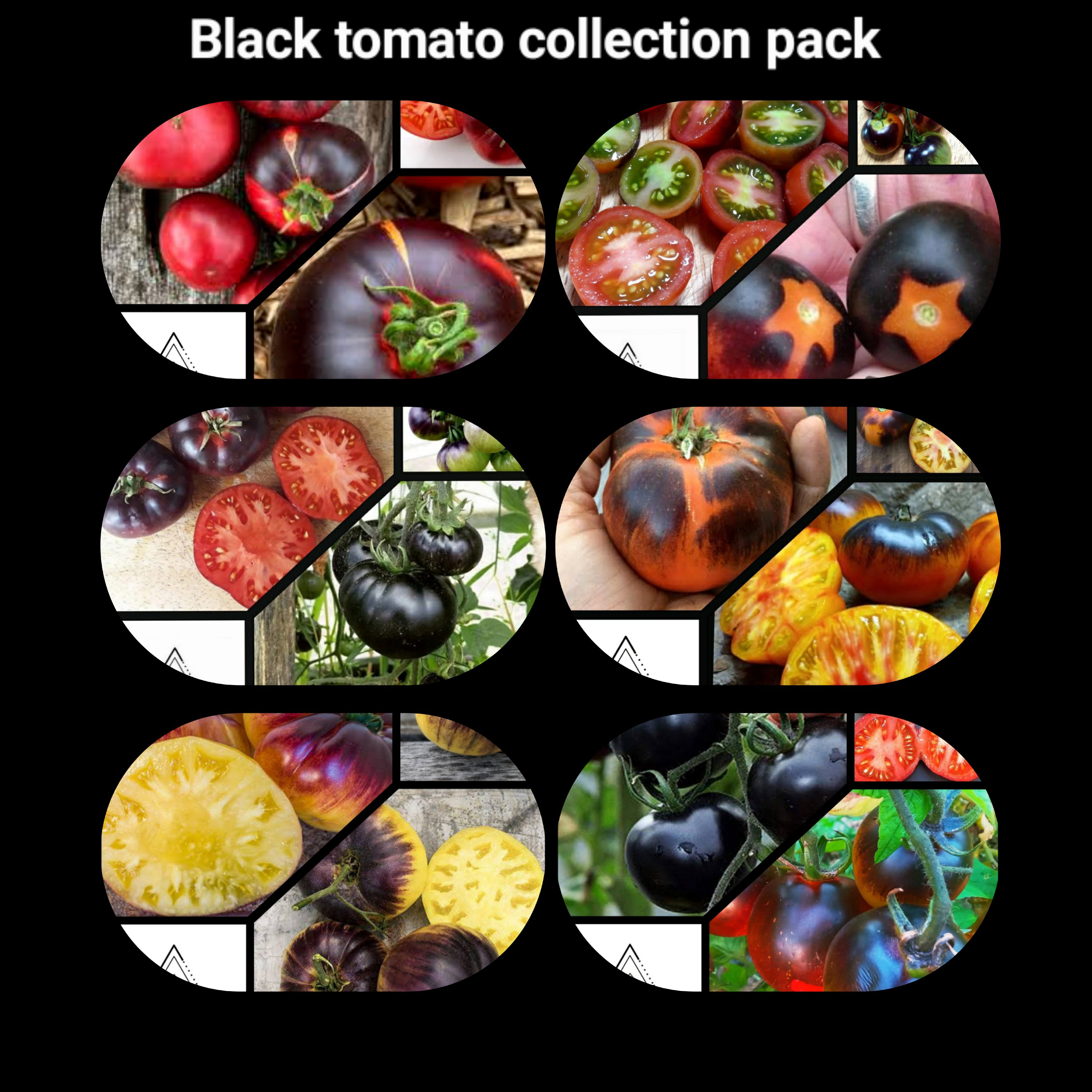 🎁BLACK TOMATO COLLECTION PACK🎁 x 6 individually packed