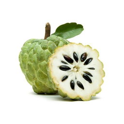 Fruits