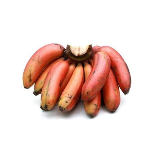 RED BANANA (SEV VAZHAI) 5 KG (1 BOX)