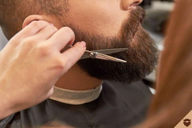 Taille Barbe _1