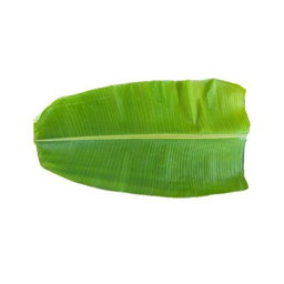 BANANA LEAVES (50)