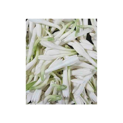 SAMPANGI FLOWER (250G)