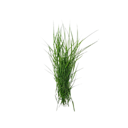 ARUGAMPUL (GRASS)  (250G)