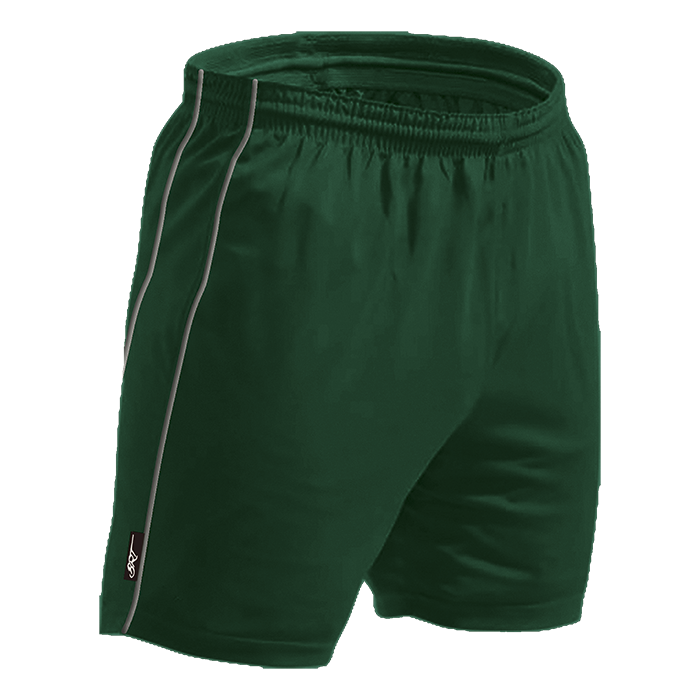 BRT Reflect Shorts_1
