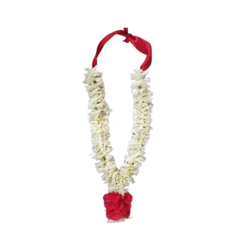SAMPANGI GARLAND 30CM_0