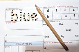 Dolch Read & Spell Activity Book