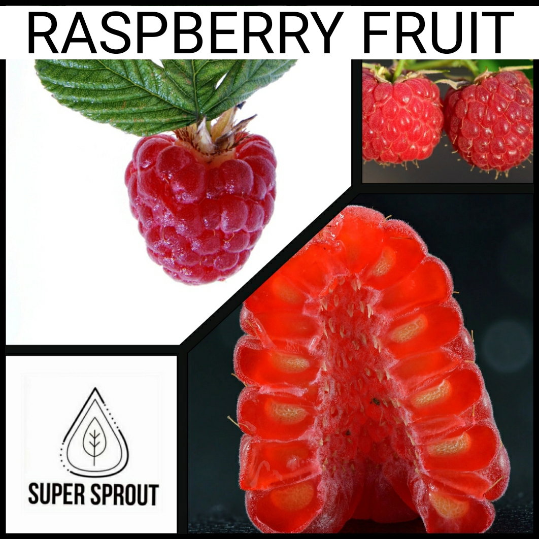 🍒RASPBERRY 🍒 x 15 seeds_1