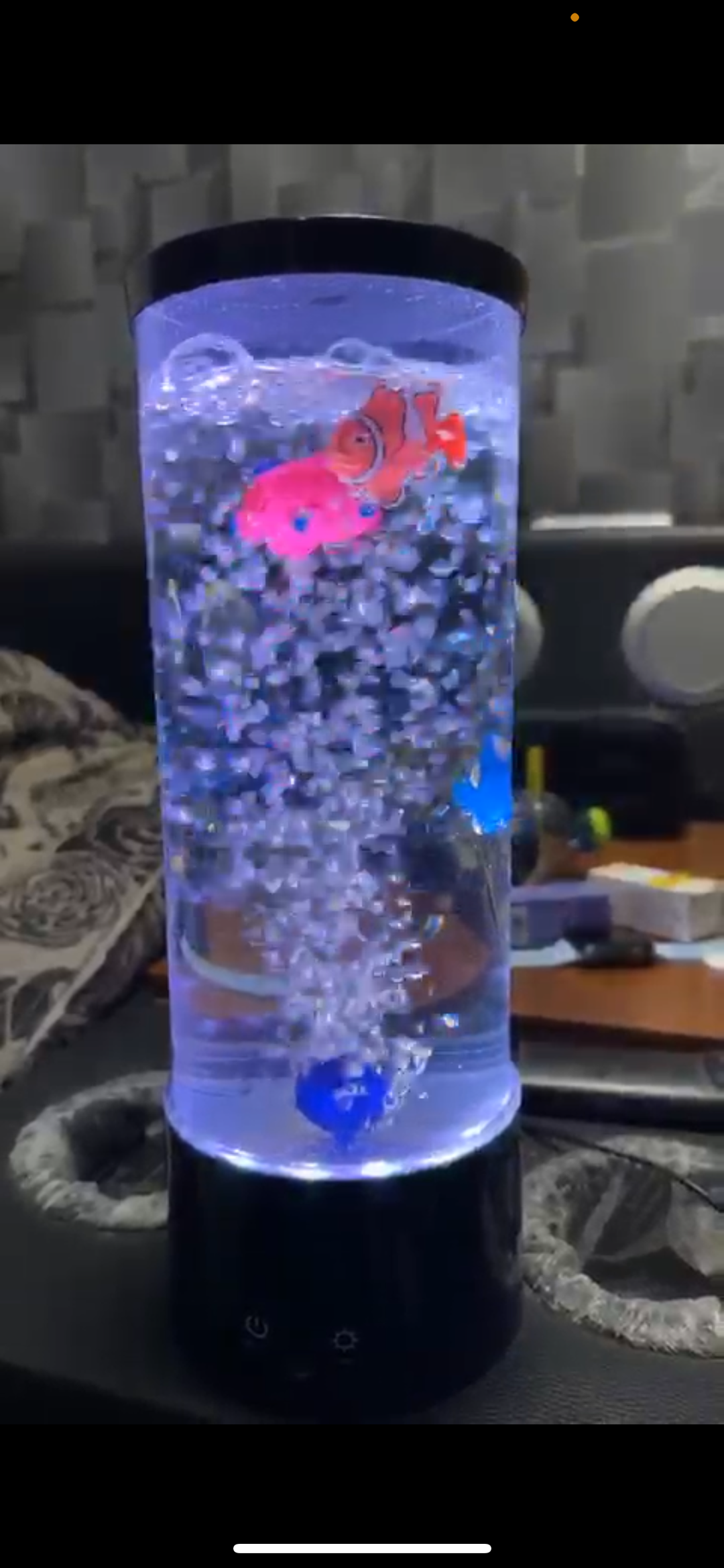 Mini aquarium 