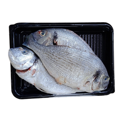 INDIAN SEABASS - CLEANED 750G TO 850G_0