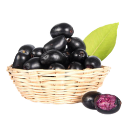 JAMUN FRUIT (NAVALPALAM) 1 PACK (APPROX 230G TO 270G)_0