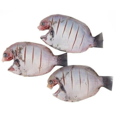 KARIMEEN CLEANED 750G TO 850G_0