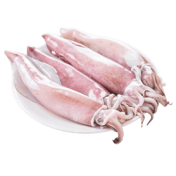 SQUID (KANAVAI FISH) - CLEANED (700G TO 800G)