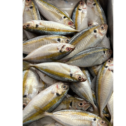 SUPAARAI - CLEANED 750G TO 850G_0