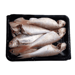  SANGARA - CLEANED 750G TO 850G