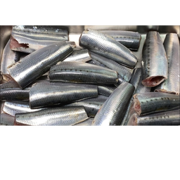 SARDINES -  CLEANED 750G TO 850G