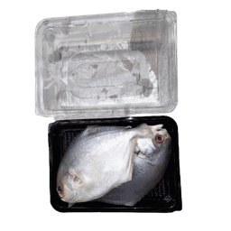  GOLD POMFRET - CLAENED 750G TO 850G_0