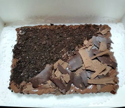 BROWNIES