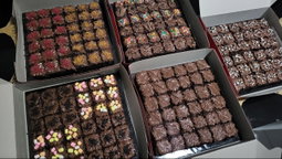 SQ Brownie 