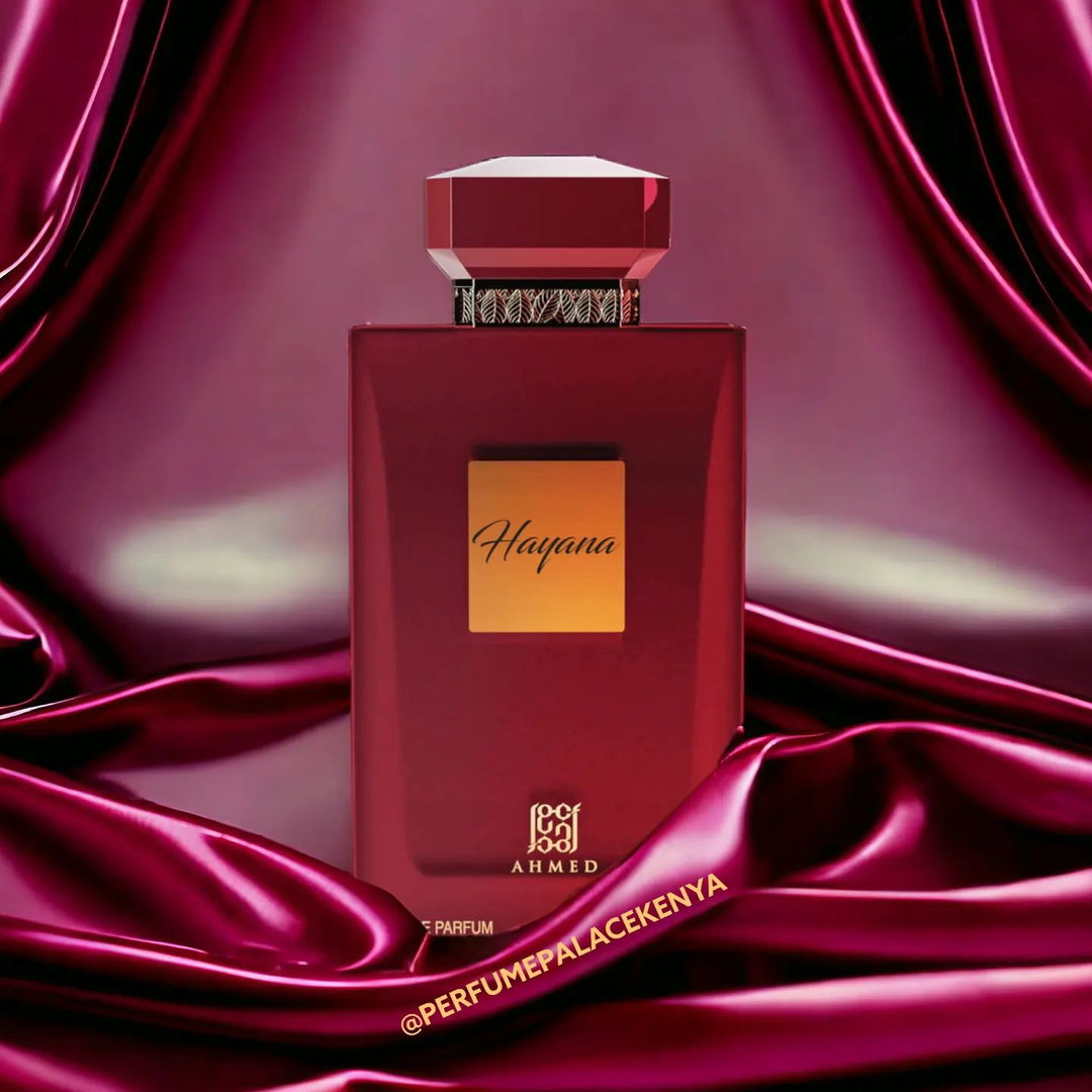 Hayana by Ahmed Al Maghribi