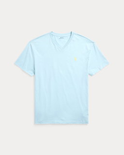 Classic Fit Jersey V-Neck T-Shirt