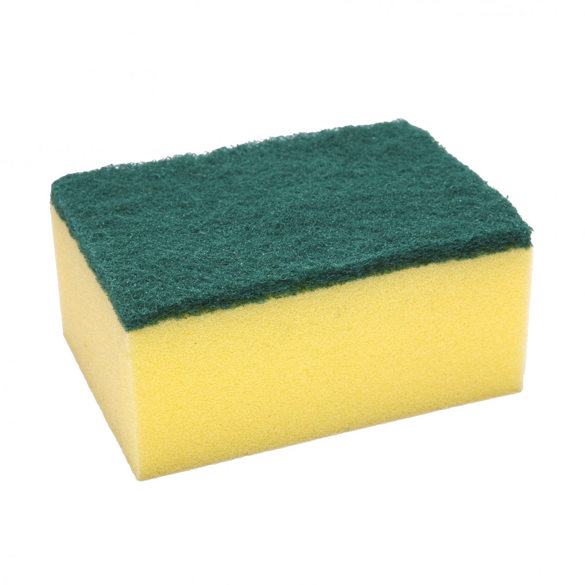 Sponge Scourer_0