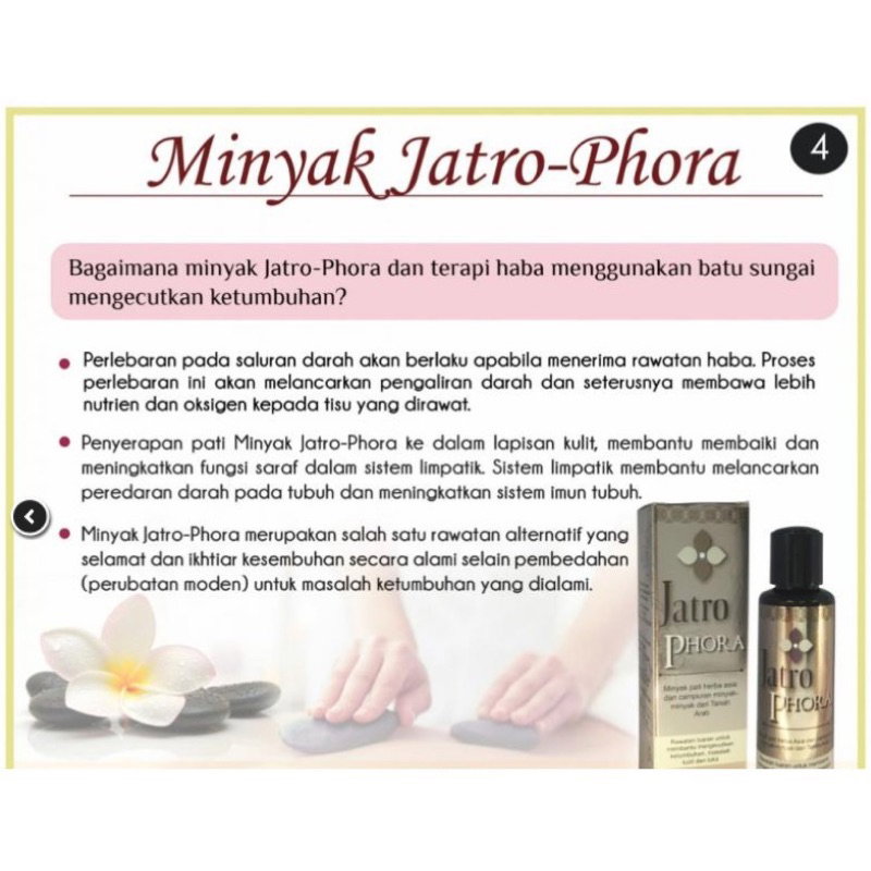 Jatro Phora by JRM Bonda Rozita_5
