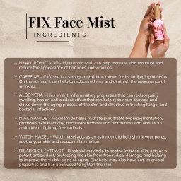 Fix Facemist by Preety Hair