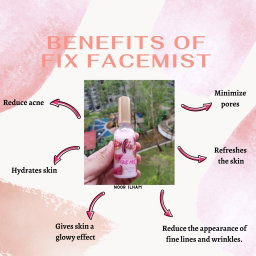 Fix Facemist by Preety Hair