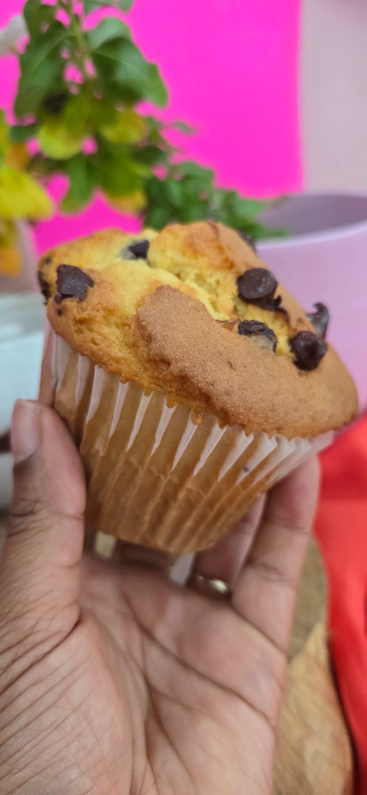 Chocolate Chip Muffin (6pk)_0