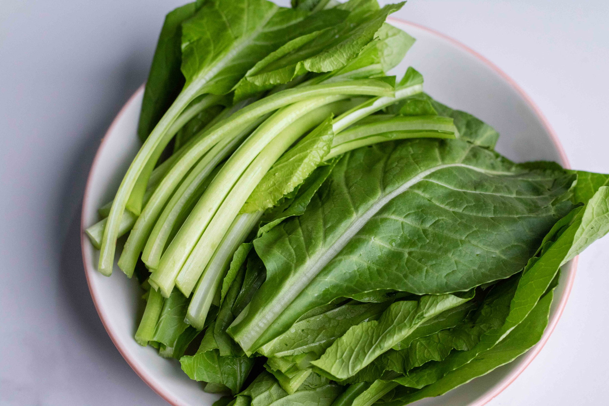 ស្ពៃ​ចង្កឹះ_0