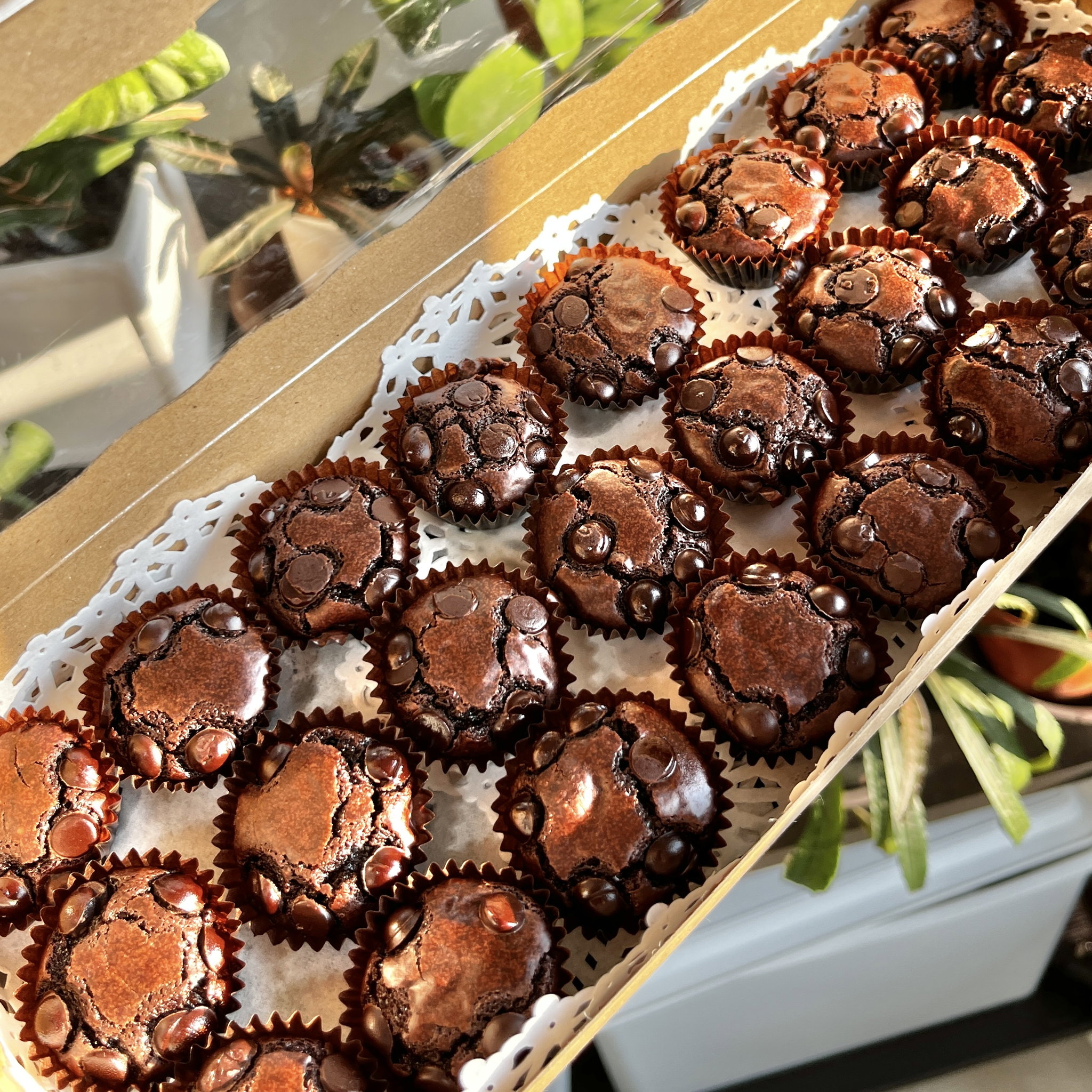 48-Piece Brownie Bites Box_3